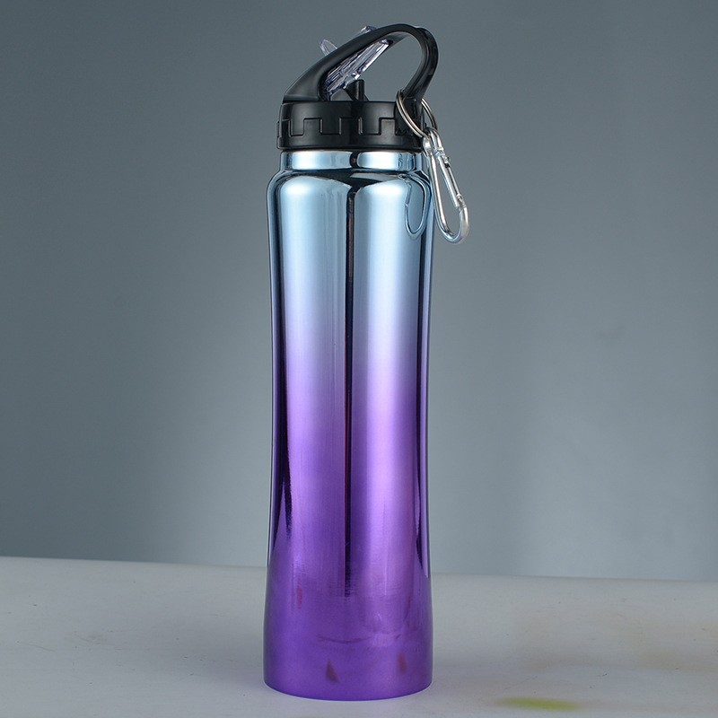 Stainless Steel Bottle - Purple (500ml)
